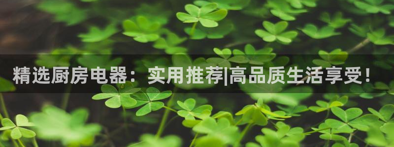 风暴官方娱乐