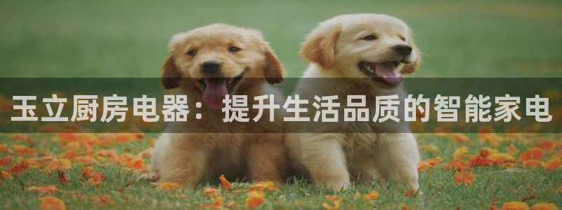 风暴娱乐 北京