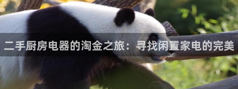 风暴娱乐记