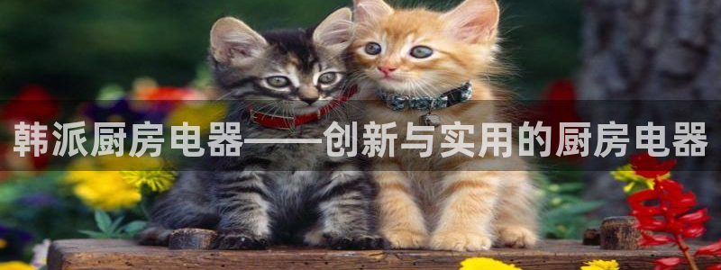 风暴娱乐fb
