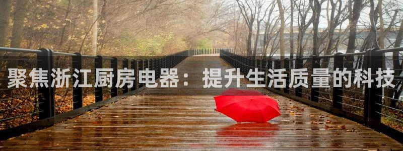 菲律宾风暴娱乐集团