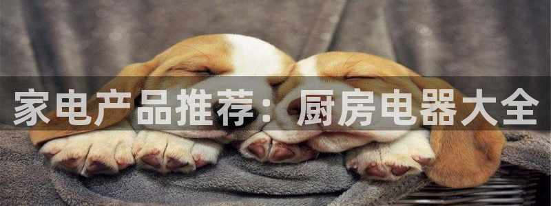 娱乐风暴二