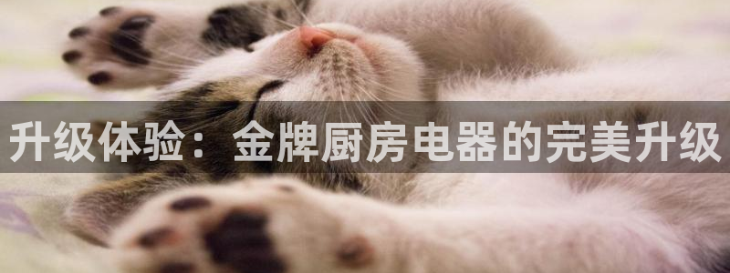 风暴娱乐部