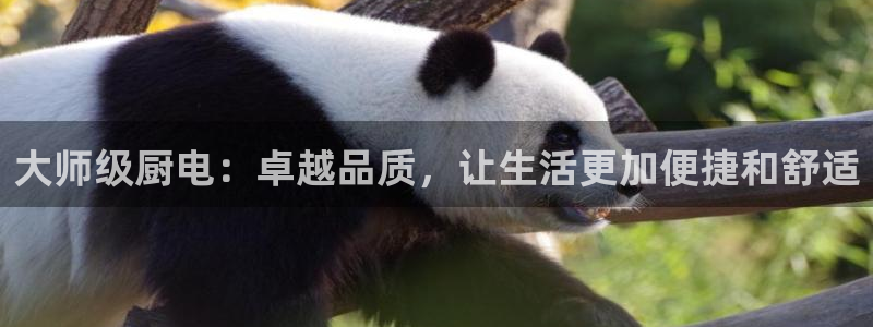 风暴娱乐字图片大全