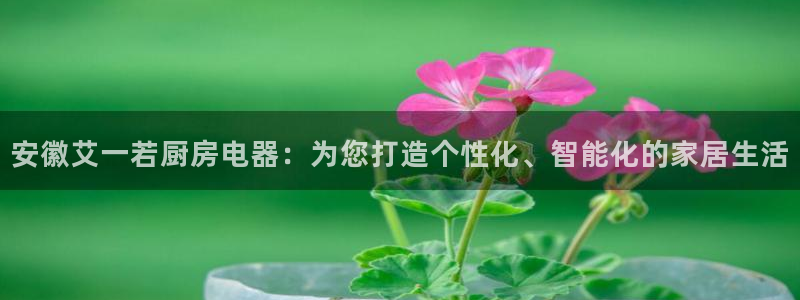 风暴娱乐主管是谁