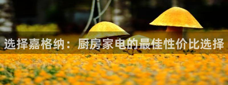 风暴娱乐主管是谁