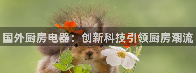 风暴娱乐地5指尖