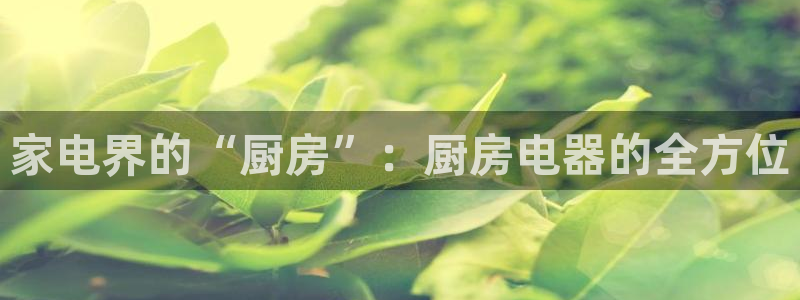 风暴娱乐平台官网登陆