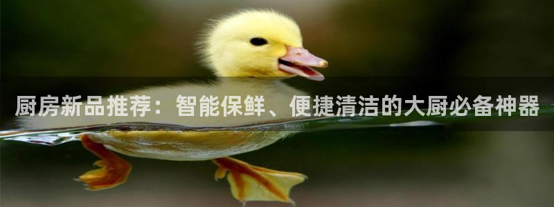 风暴娱乐下5指尖