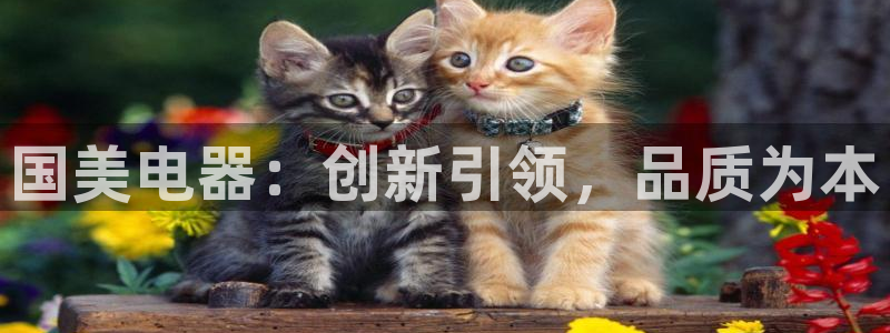 风暴娱乐 平台首页