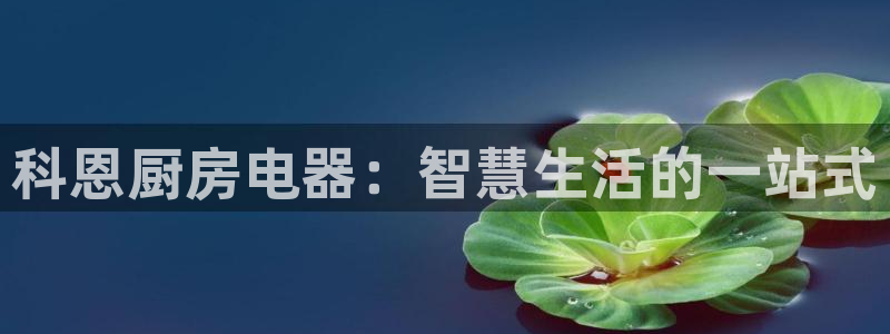 风暴娱乐主管是谁