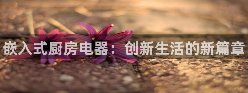 风暴娱乐有5指尖