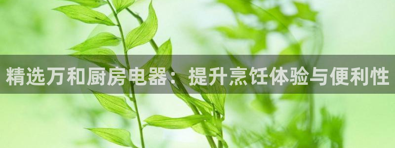 风暴娱乐平台官网登陆