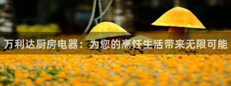 风暴娱乐右5指尖