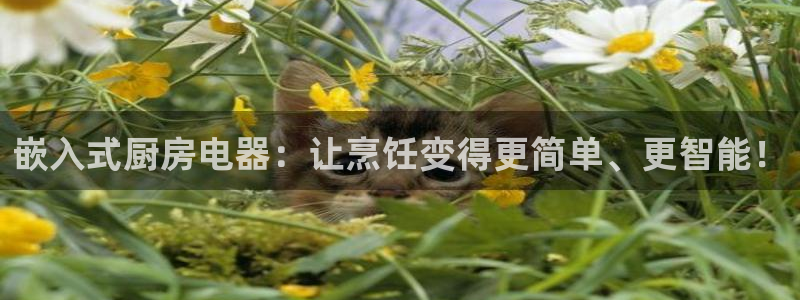 风暴娱乐这个平台靠谱