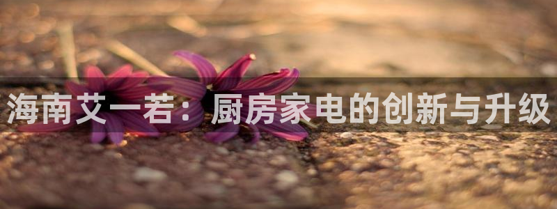 风暴娱乐求333OOc