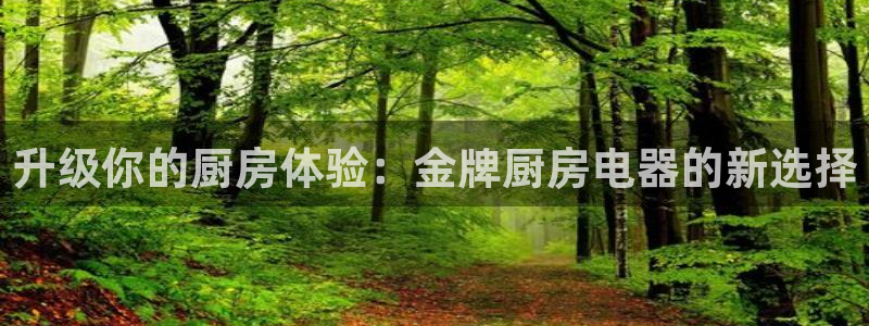 风暴娱乐自动挂